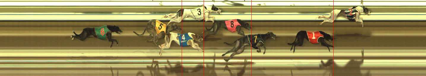 Race result finish photo